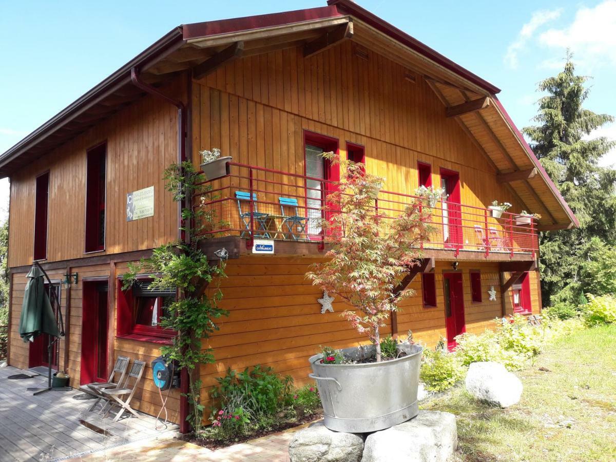 Chalet Luxe 12 Personnes Spa Sauna Vosges-Gerardmer لو ثولي المظهر الخارجي الصورة